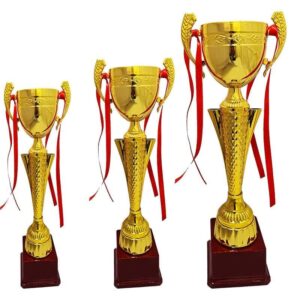 چاپ کاپ ورزشی