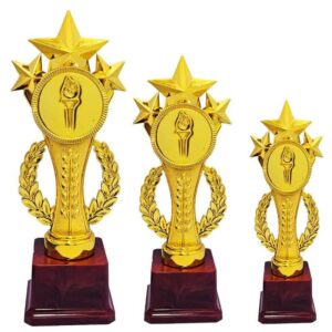 چاپ کاپ ورزشی