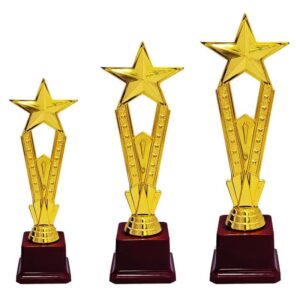 چاپ کاپ ورزشی