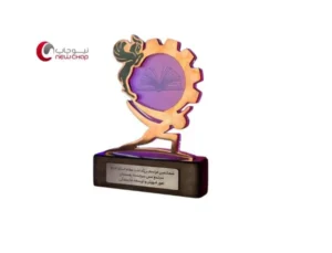 ساخت تندیس تقدیر